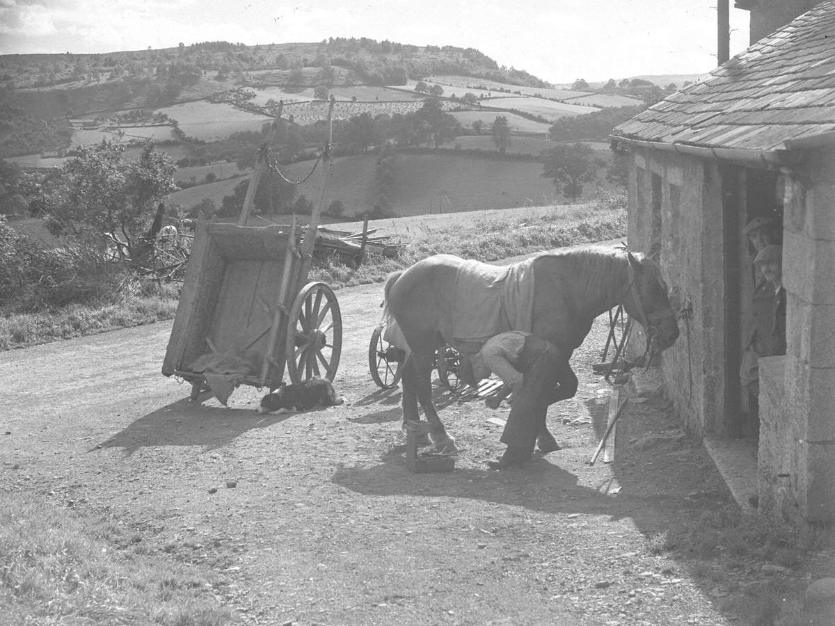 Crosthwaite Smithy Cart and Shoeing