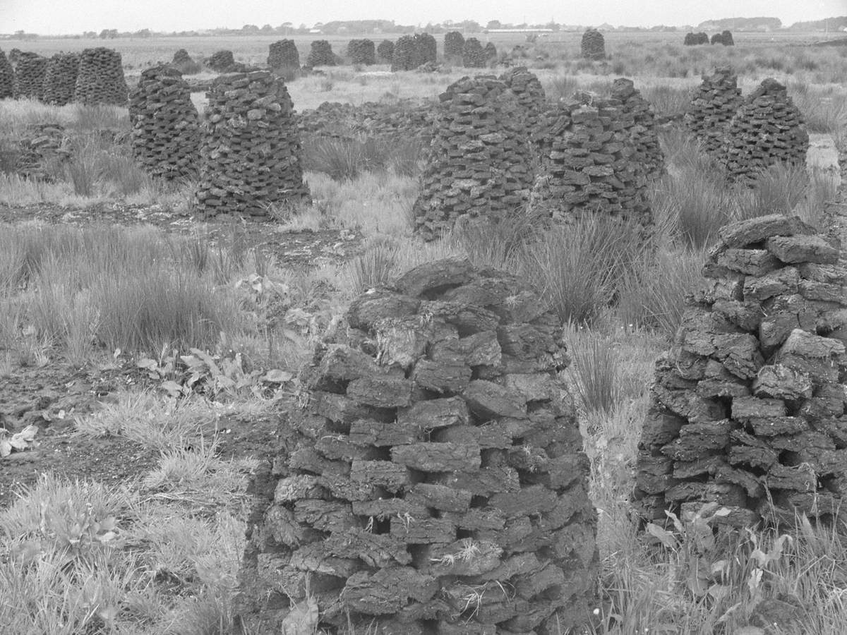 Stacked Peats
