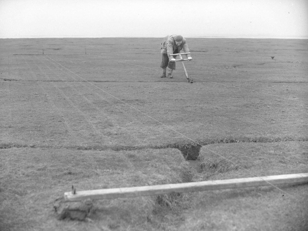 Marking and Side Cutting Turf at Flookburgh