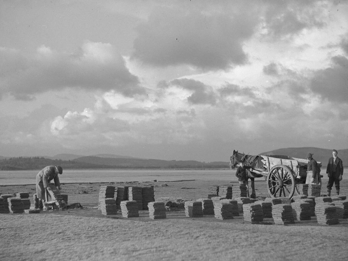 Carting Turfs at Flookburgh