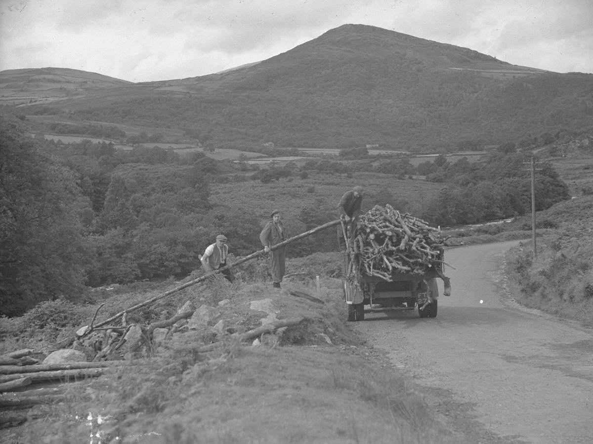 Lorry Loaded with Wood at Duddon | Art UK