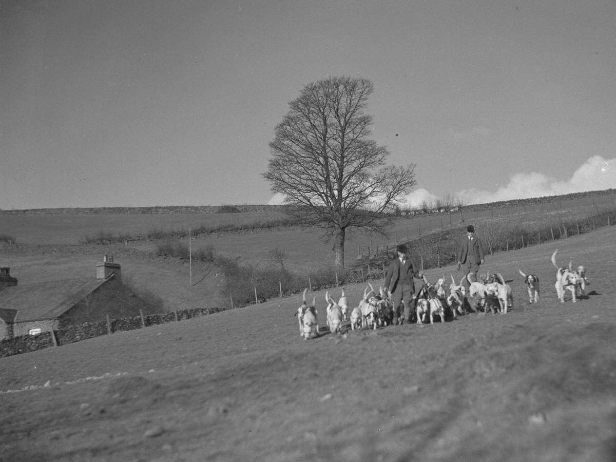 Hunting Scene