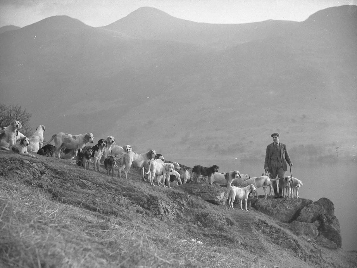 West Cumberland Fox Hounds