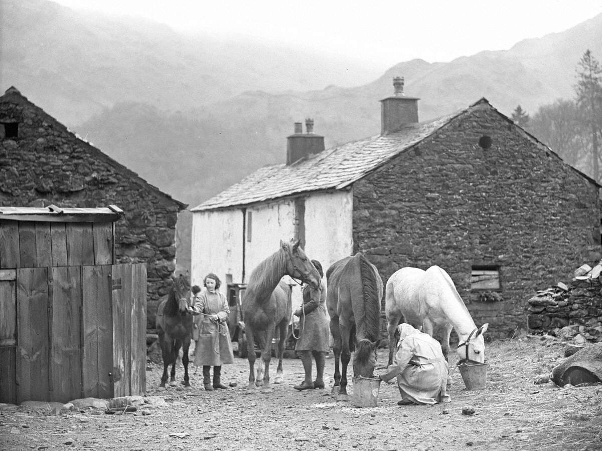 Foddering Trek Horses at Ponybook