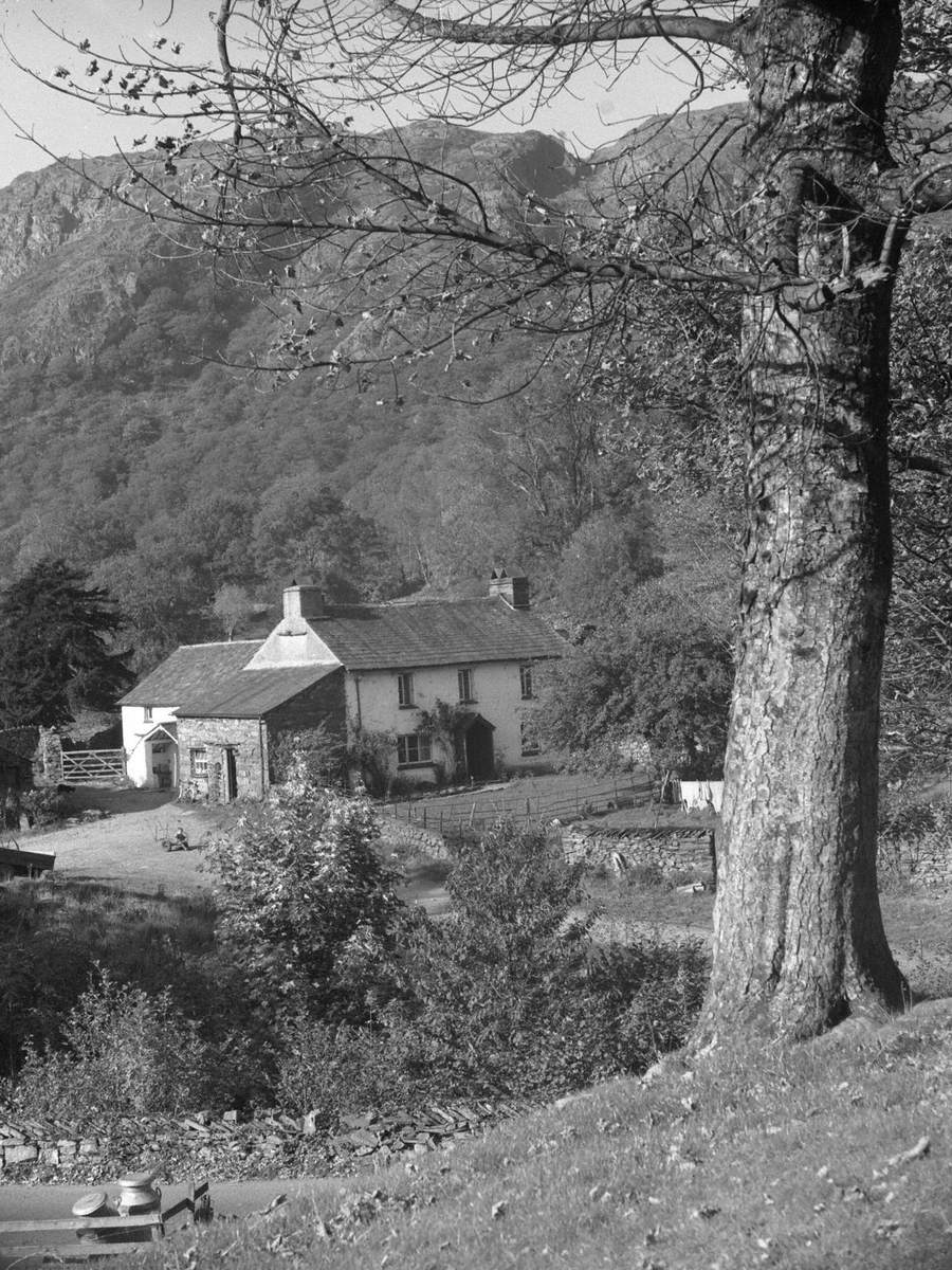 Yew Tree Farm, Coniston