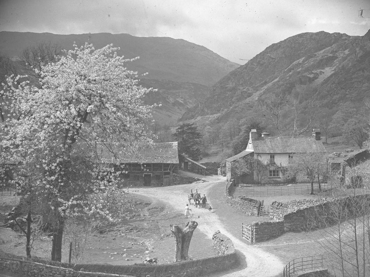 Yew Tree Farm, Coniston