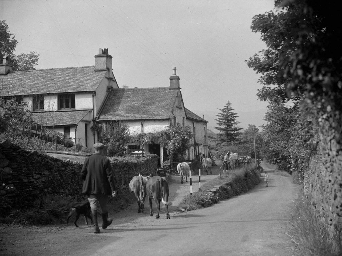 Borwick Fold, Hawkshead