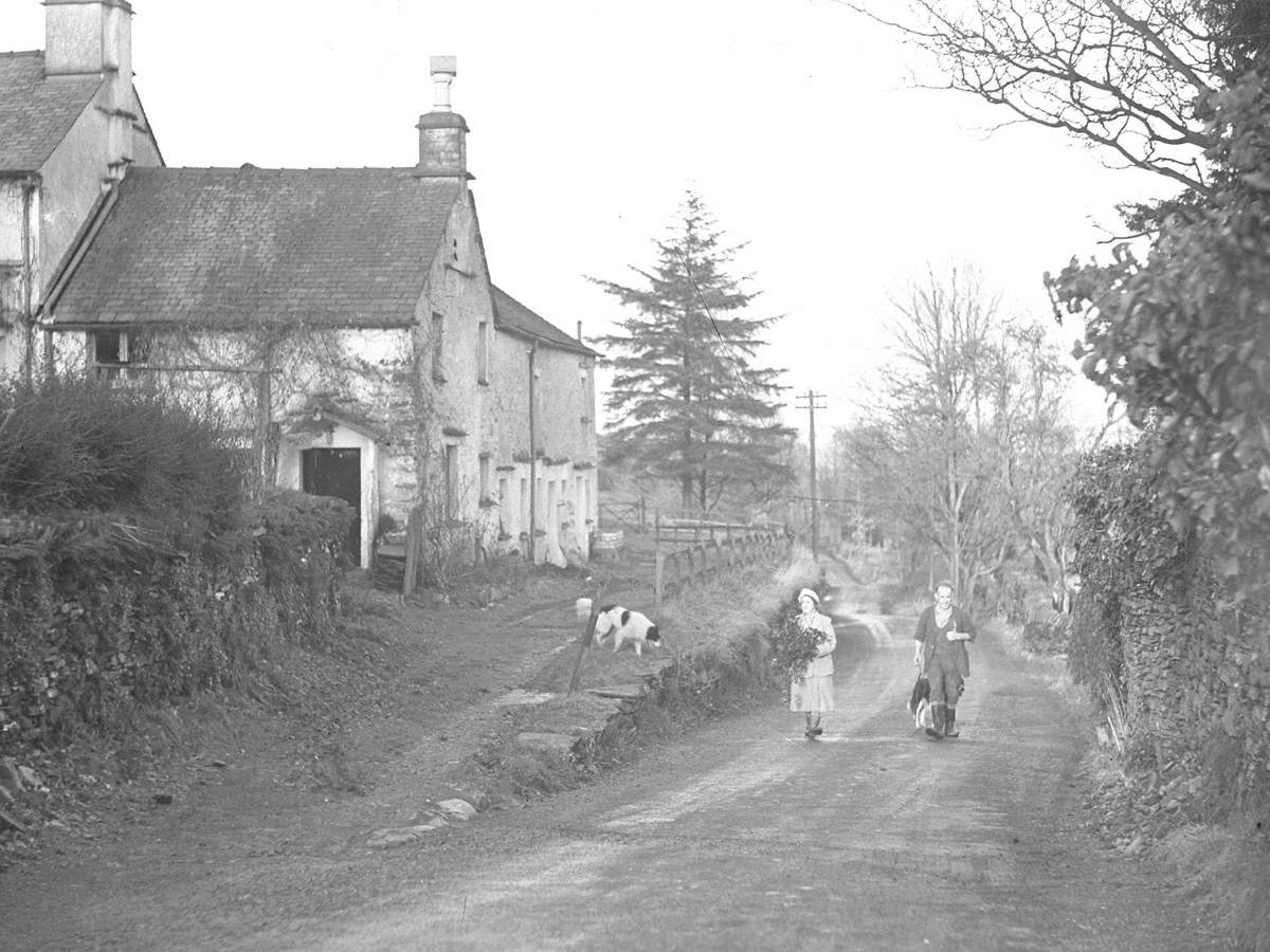 Scene at Borwick, Hawkshead Art UK
