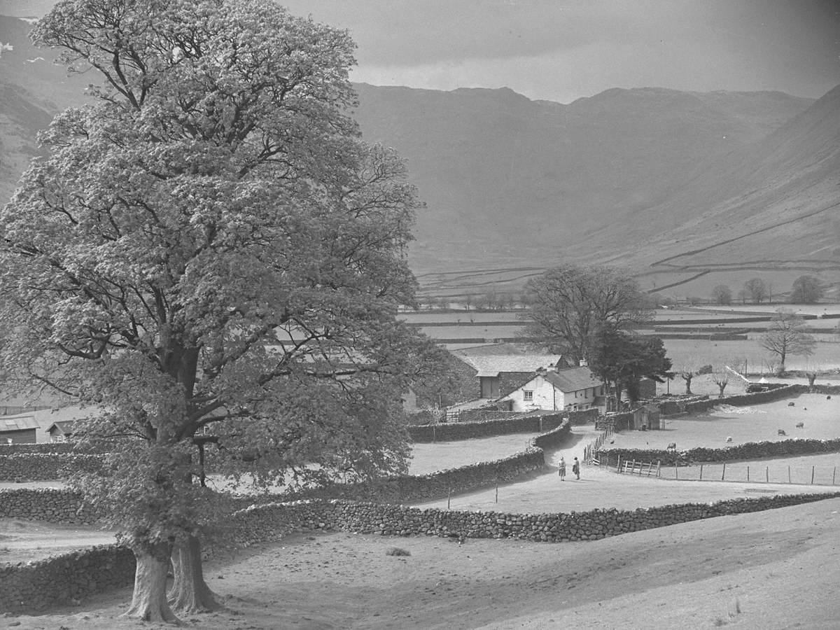 Head of Langdale