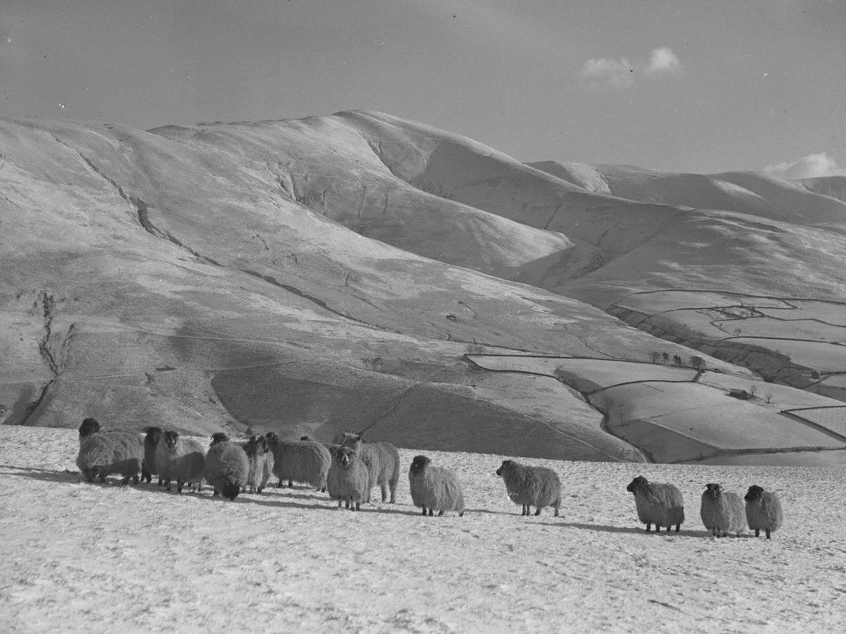 Howgill Fells