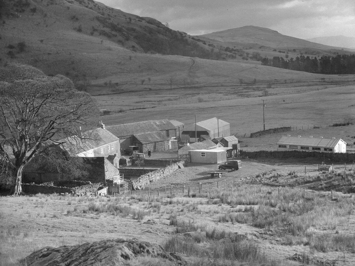 Dry Howe Farm in Bannisdale