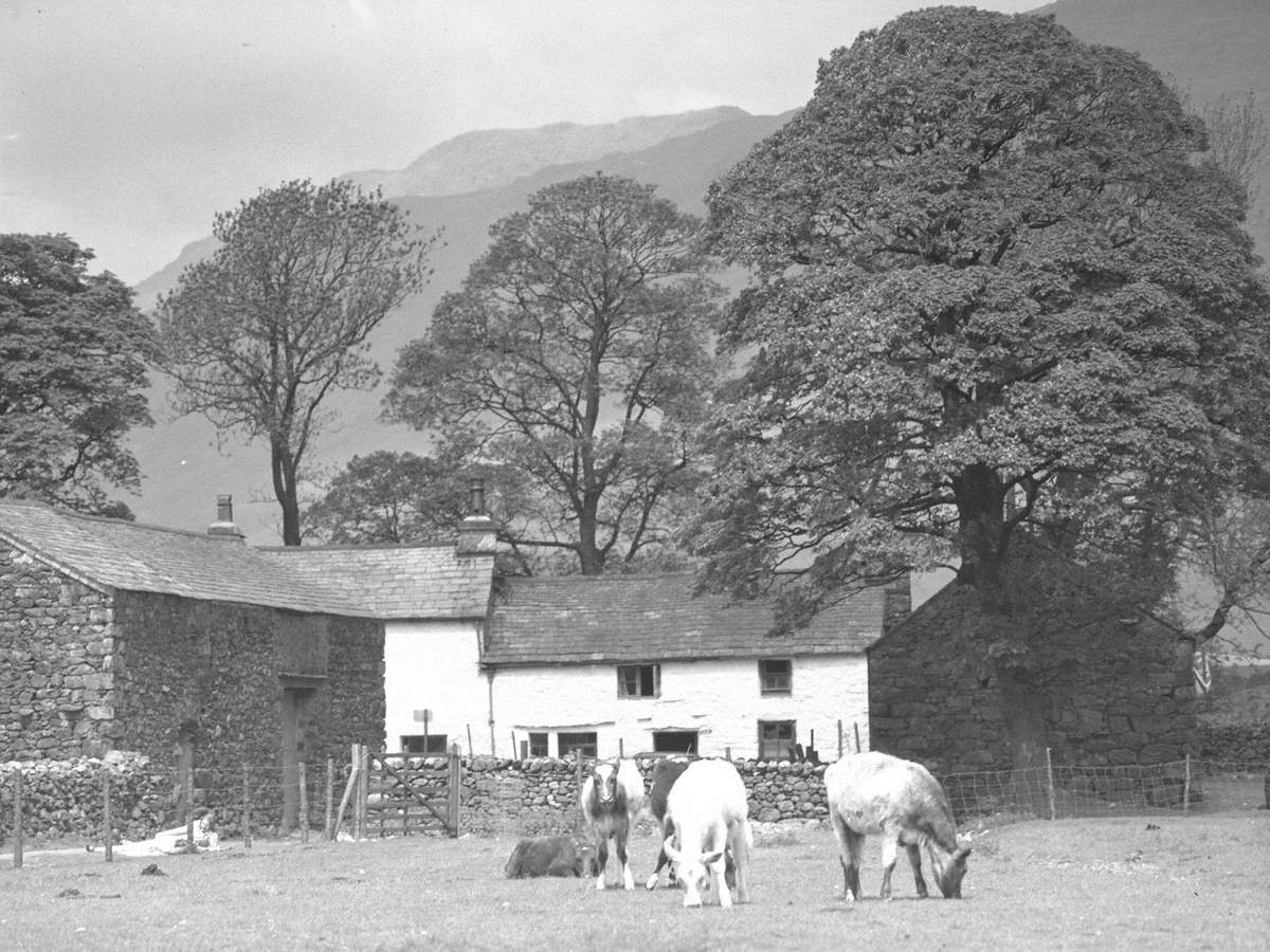 Dalehead Farm