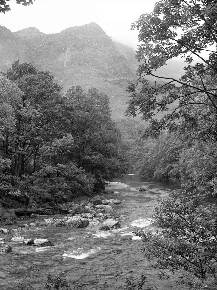 Tree Lined River, Thirlmere