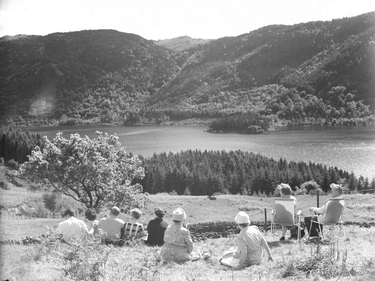 Admiring the View Thirlmere