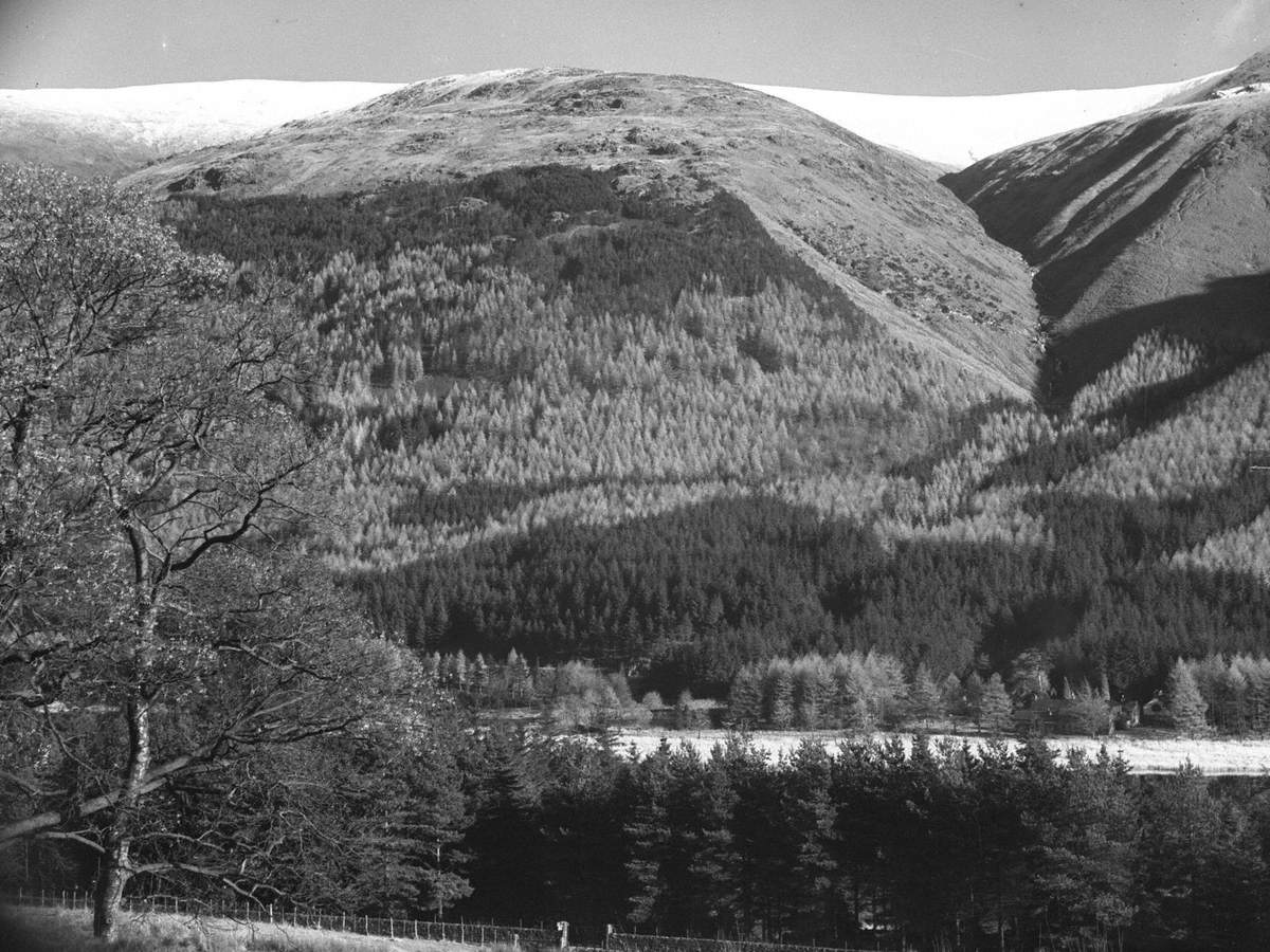 Thirlmere and Helvellyn Art UK