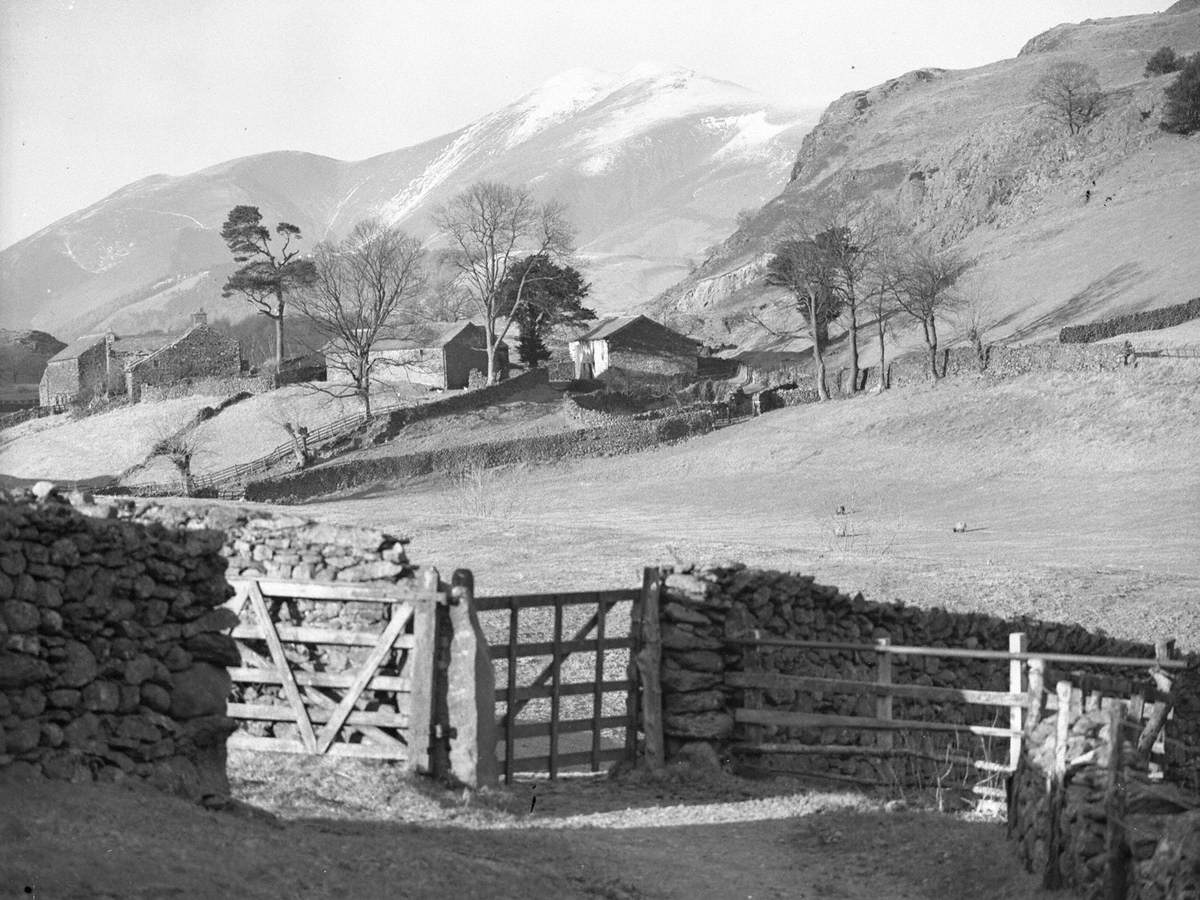 Farm through Gate, Thirlmere