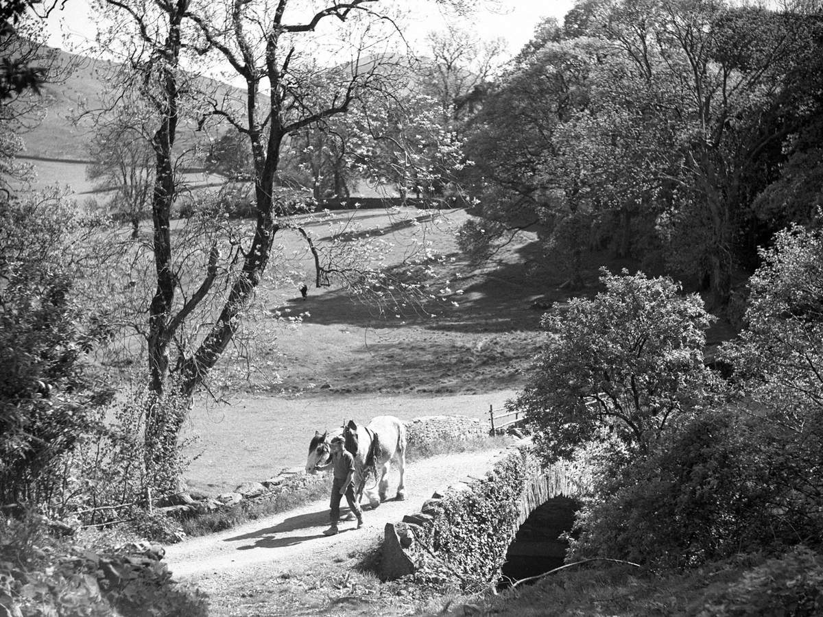 Man and Horse, Loweswater