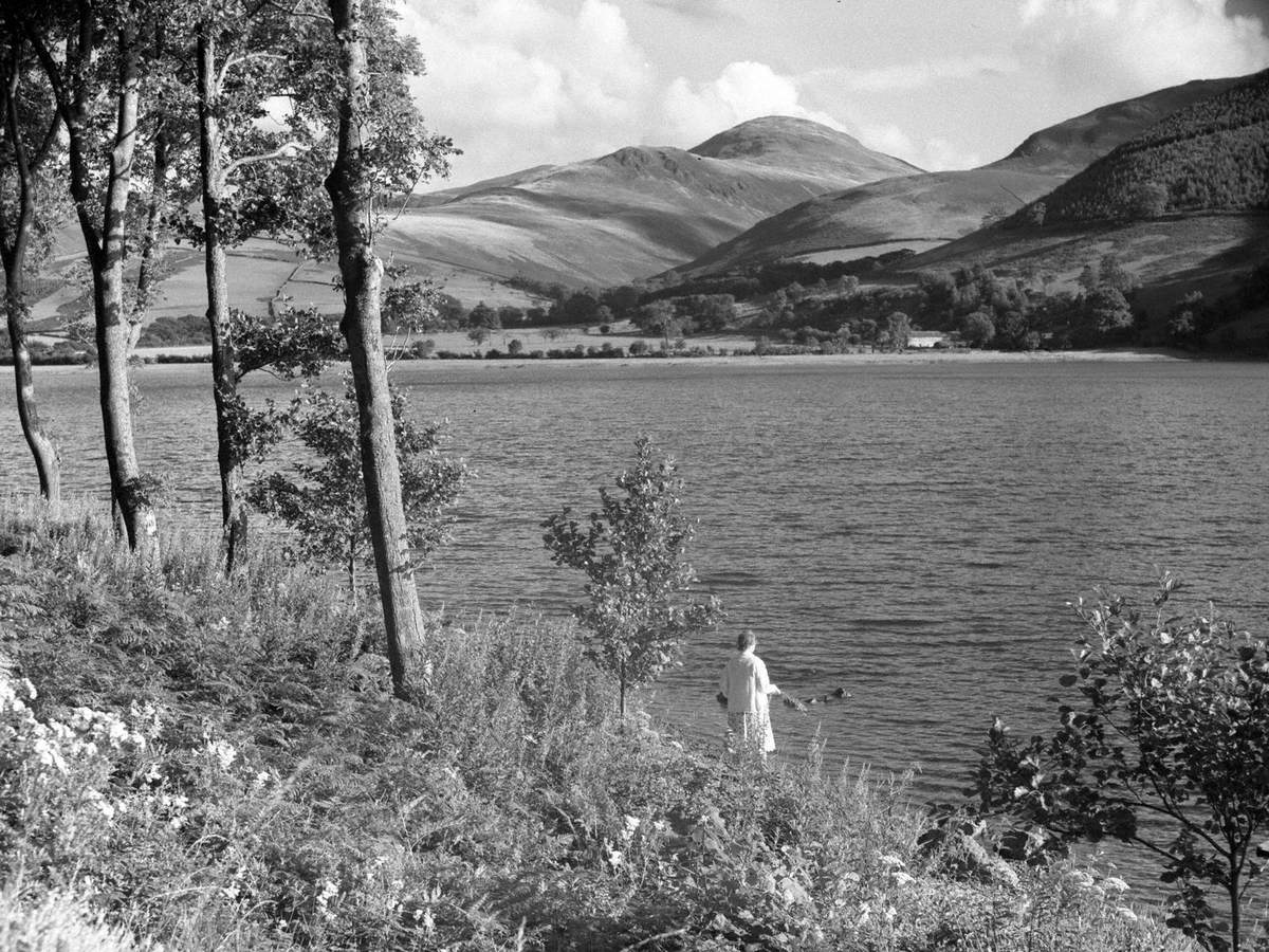 Lady Looking out across Lake, Loweswater