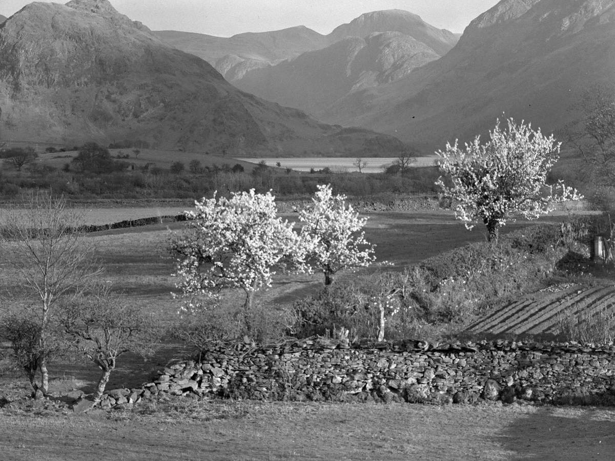 Fields, Fells and Lake