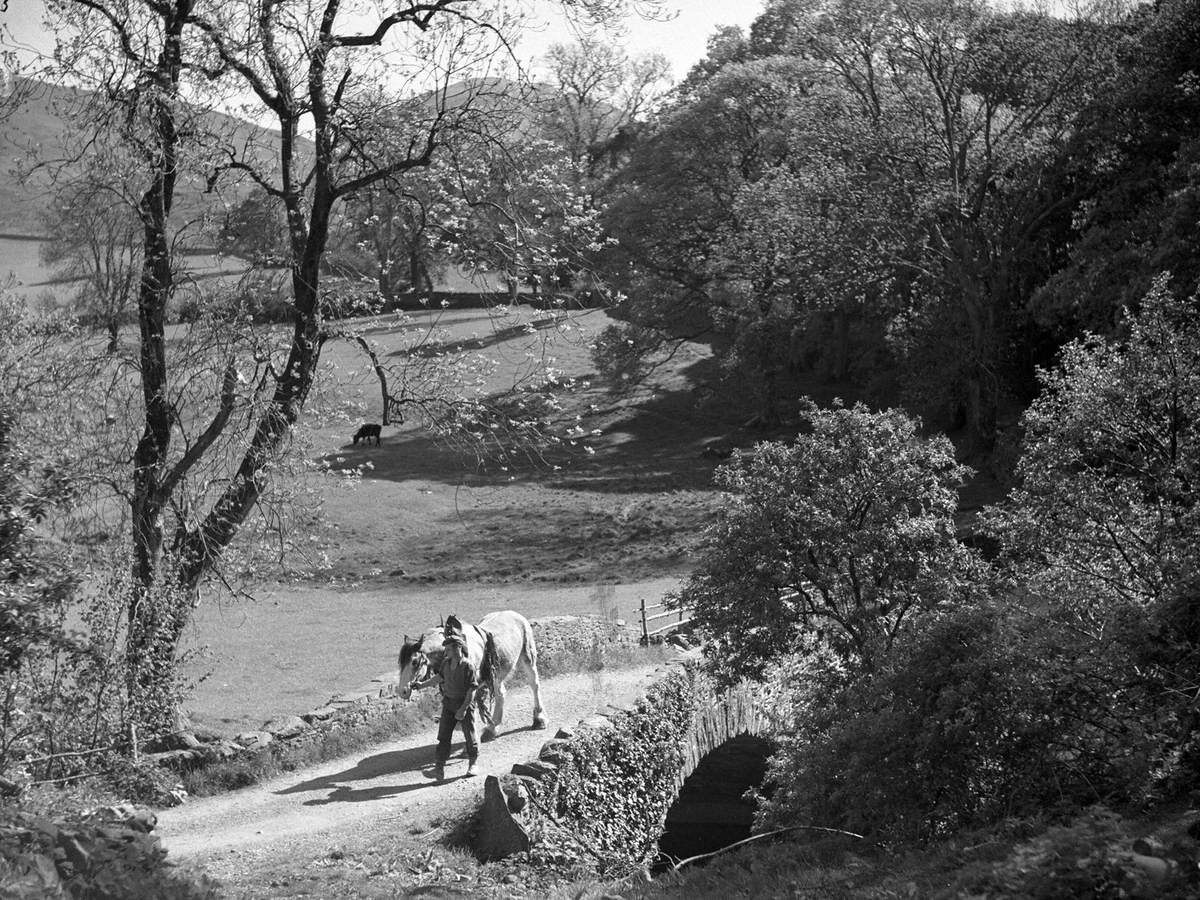 Man Leads Horse over Bridge