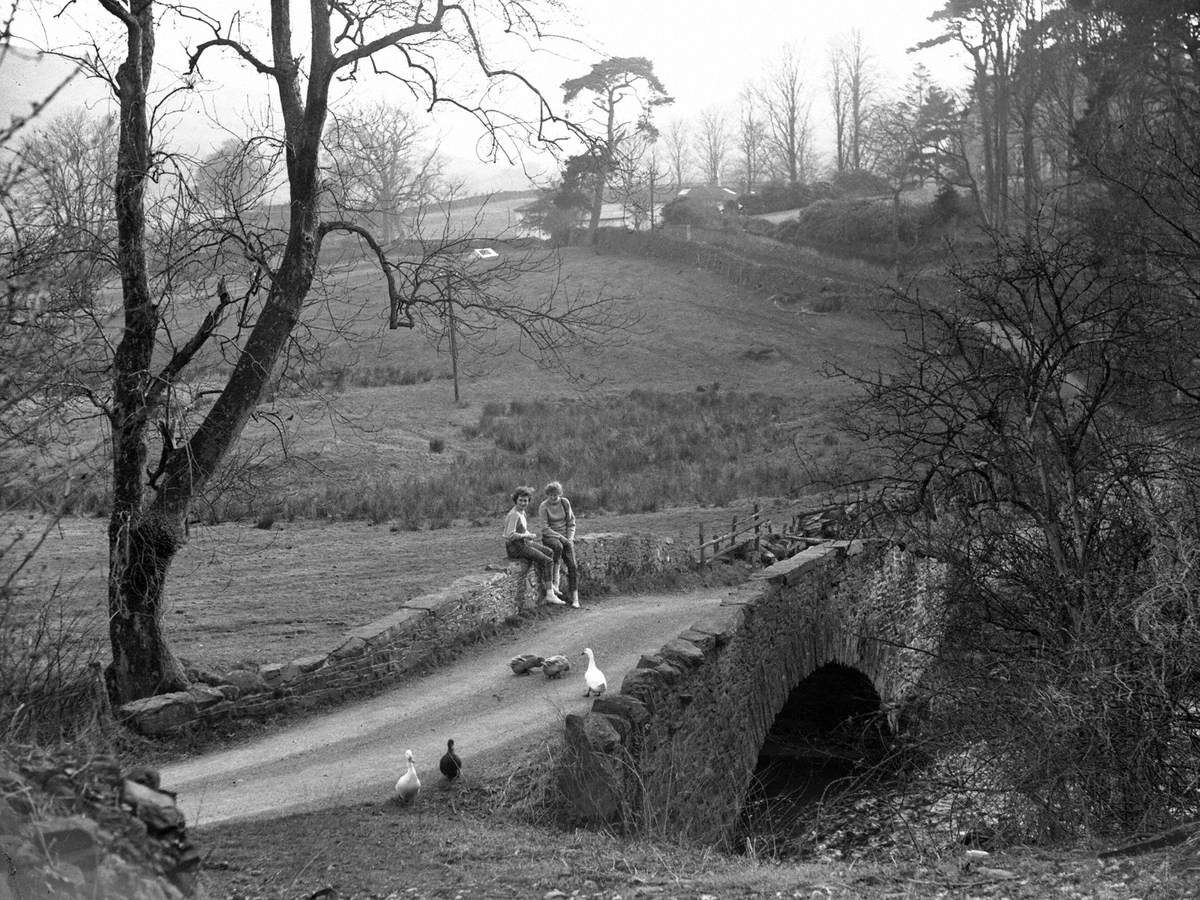 Young Girls Sitting on Bridge