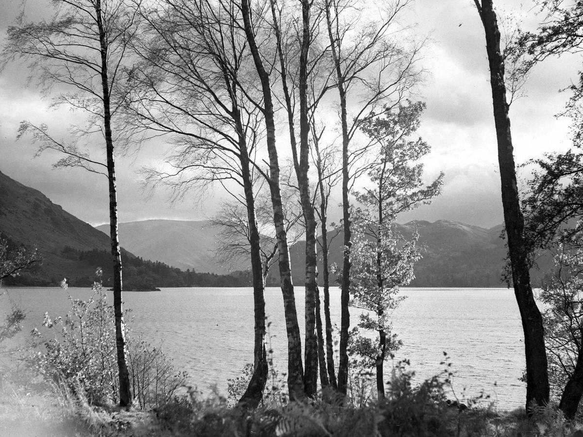 View across Lake through Trees, Ullswater | Art UK