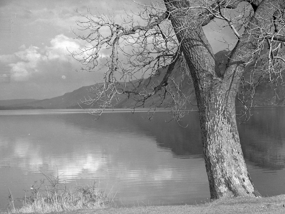 Calm Water at Ullswater