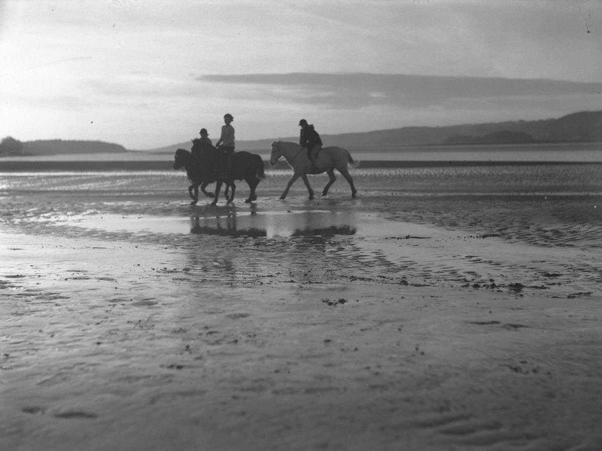 Horse Riding at Arnside