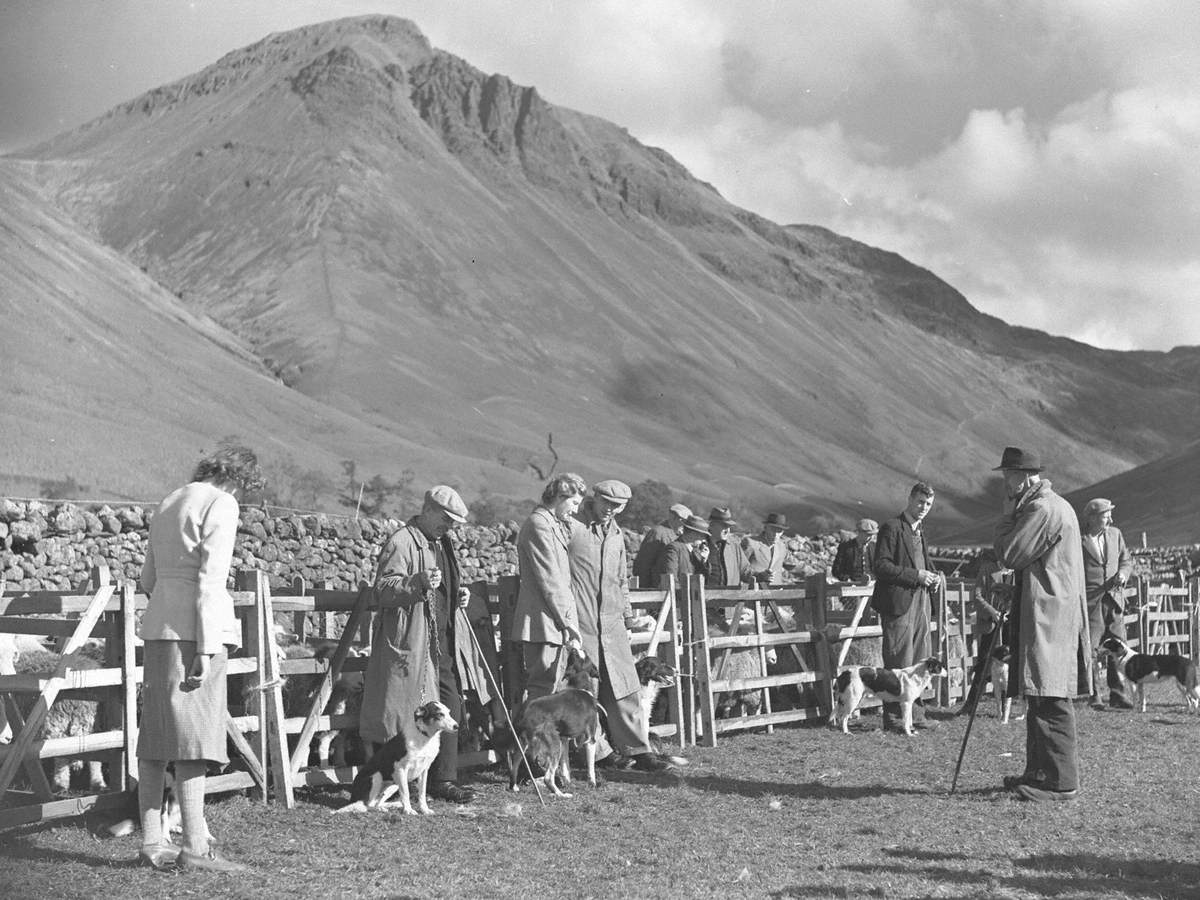 Dog Competition at Wastwater