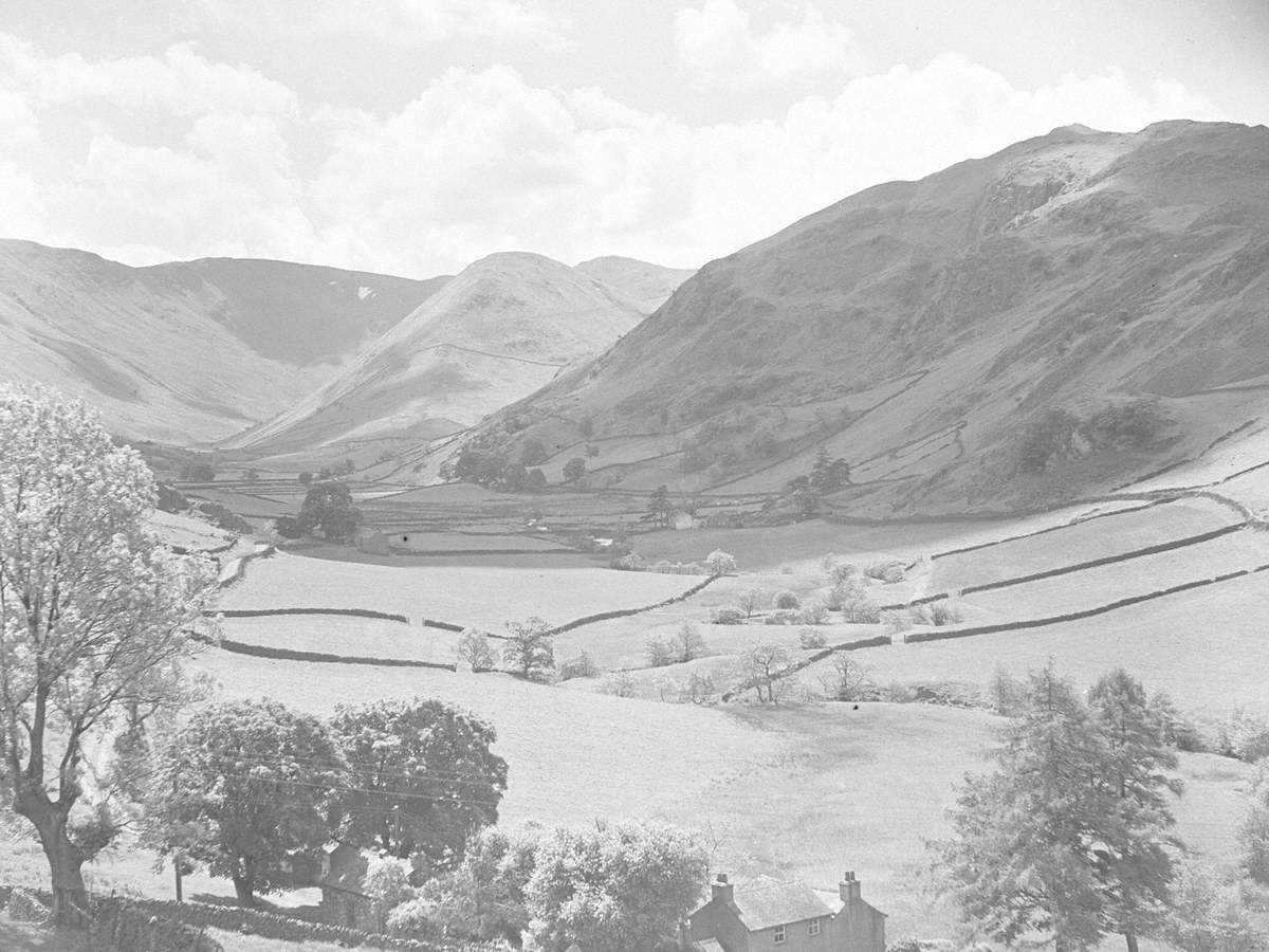 Martindale Landscape