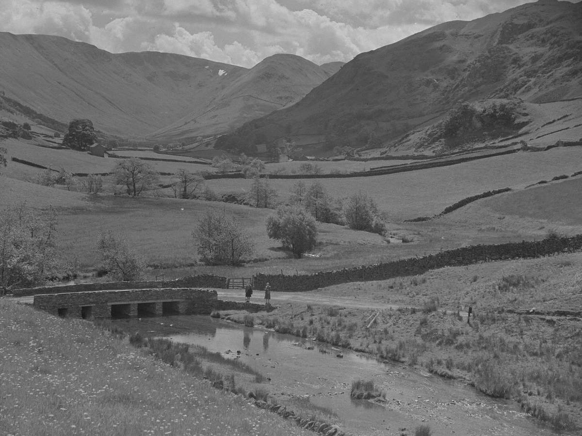 Martindale Landscape