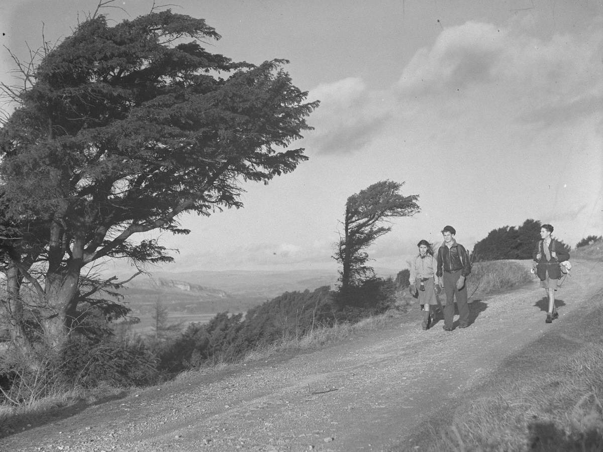 Young Walkers at Arnside Knott