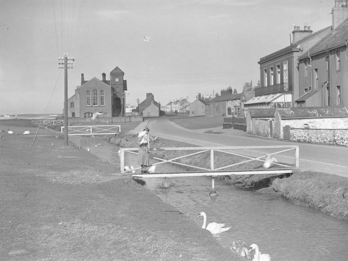 Woman Feeding Birds at Allonby