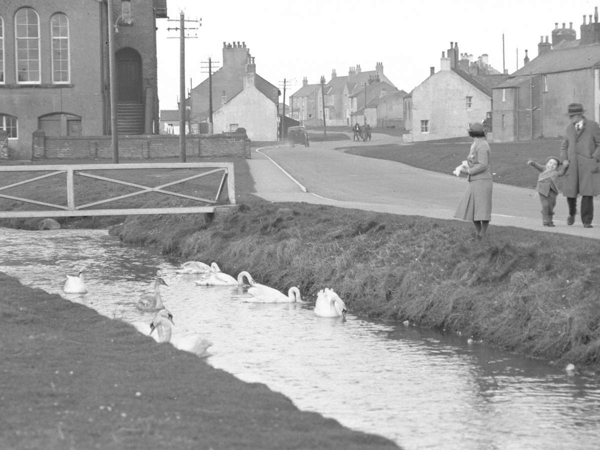 Woman Feeding Birds at Allonby