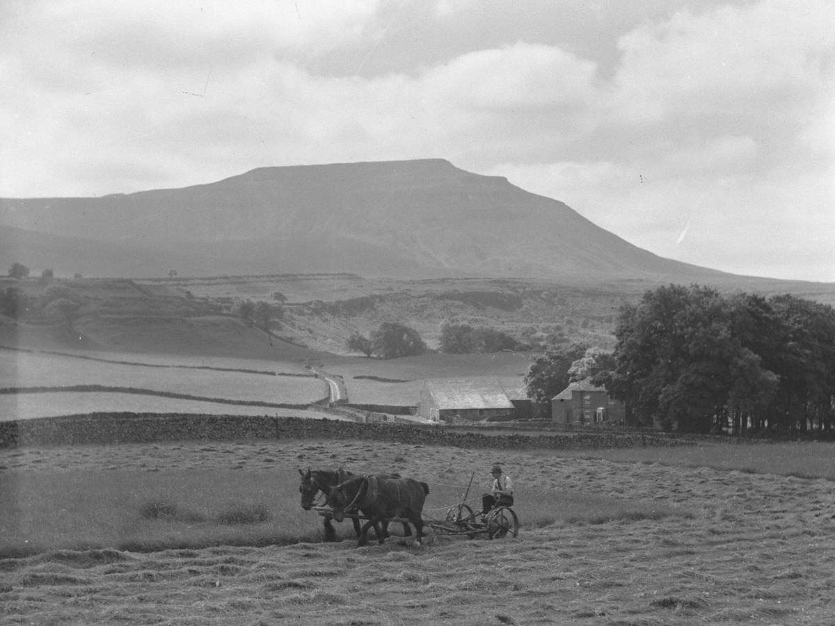 Farming in the Yorkshire Dales