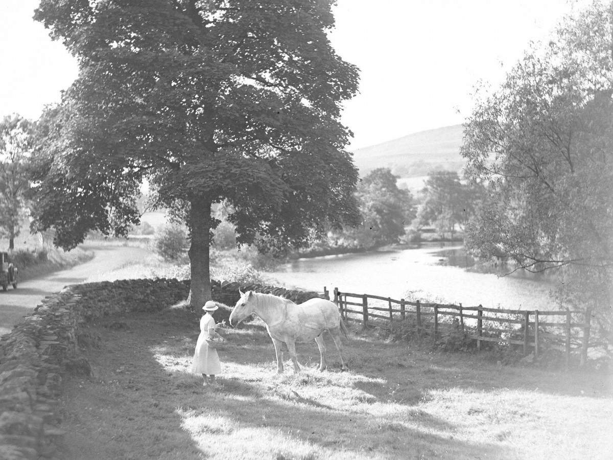 Lady Feeding Horse, Yorkshire Dales