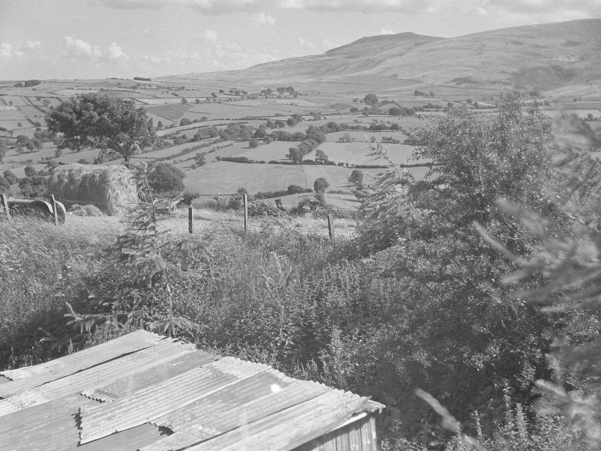 Broomrigg Landscape