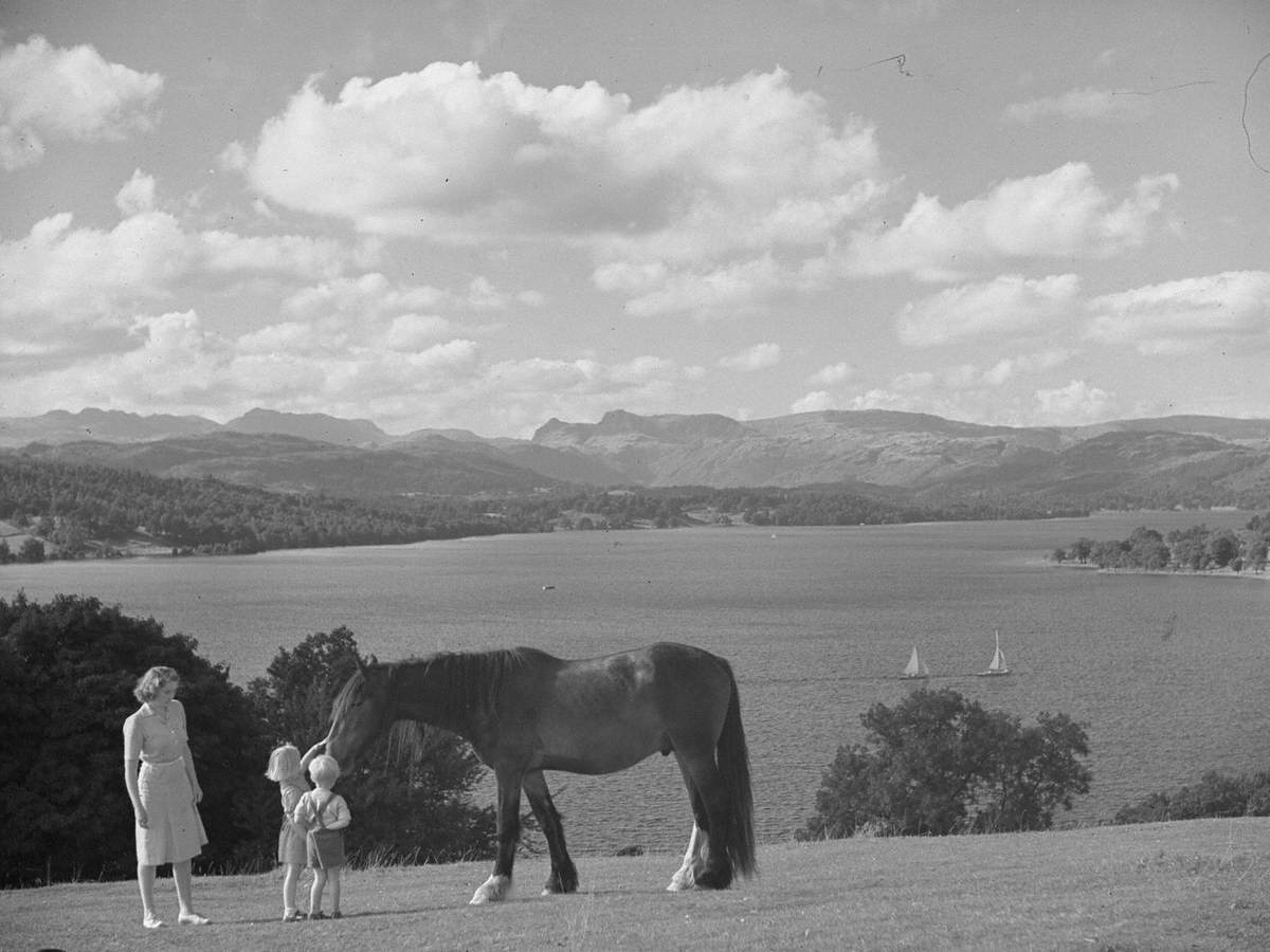 Pony by Windermere