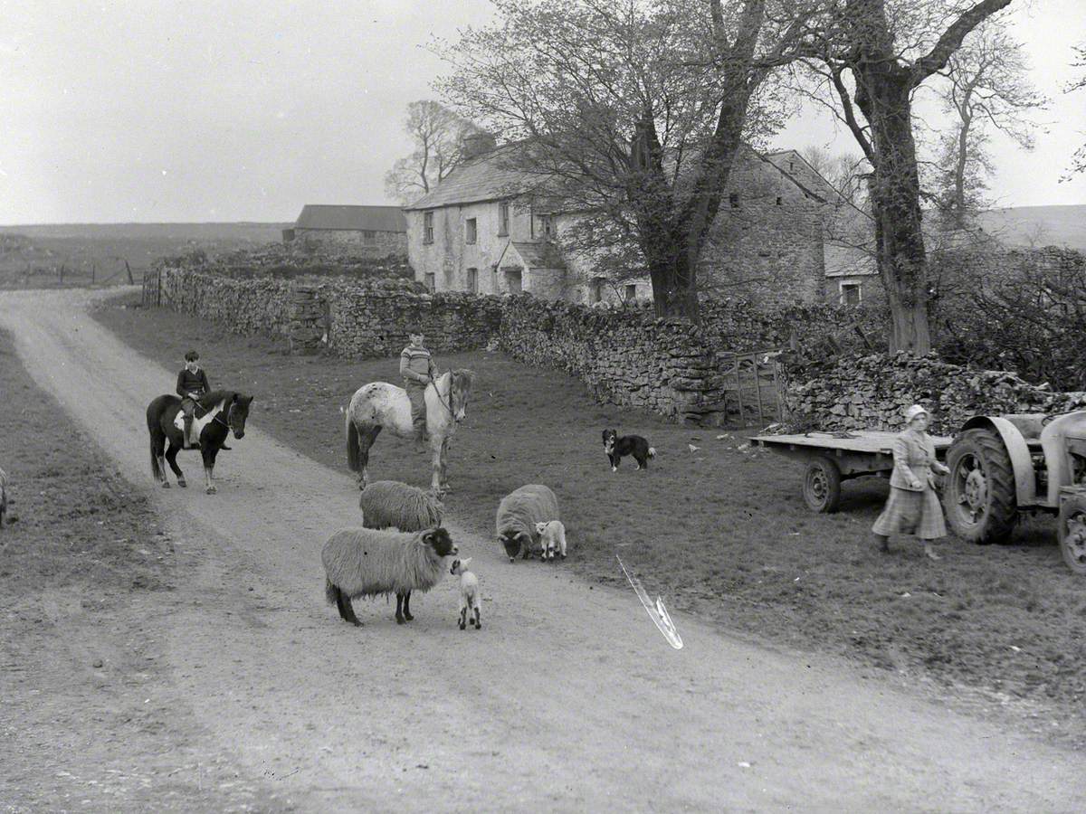 Farming Life at Little Asby