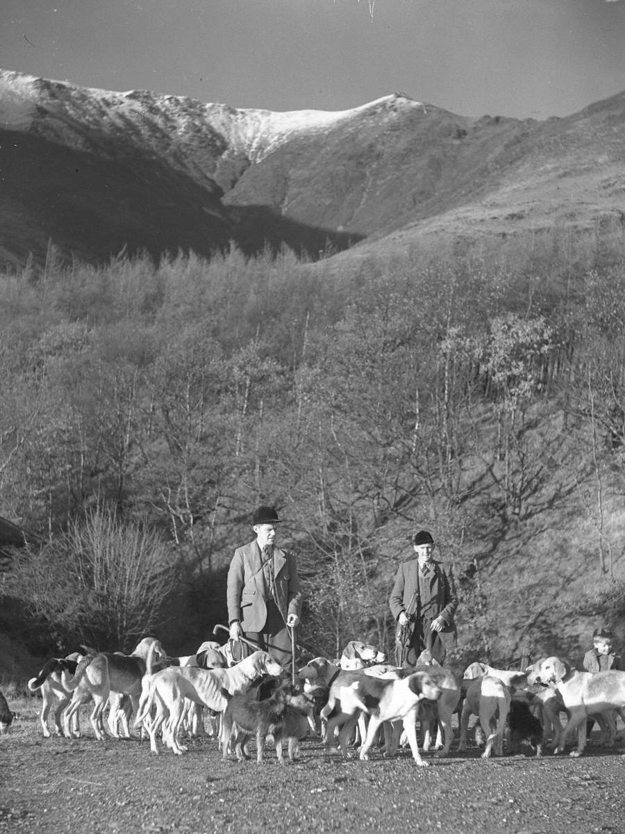 Hunt on Foot at Blencathra