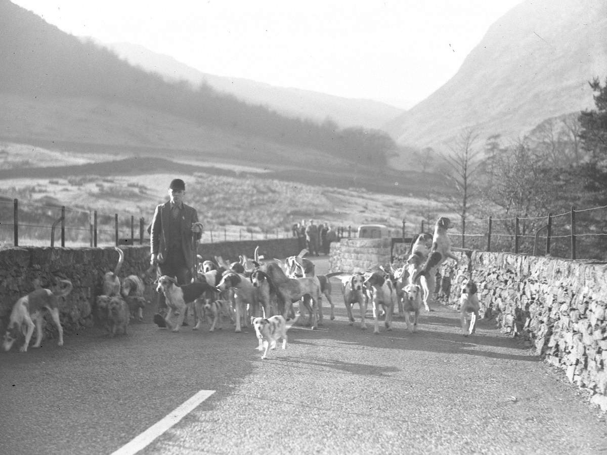 Hunt on Foot at Blencathra