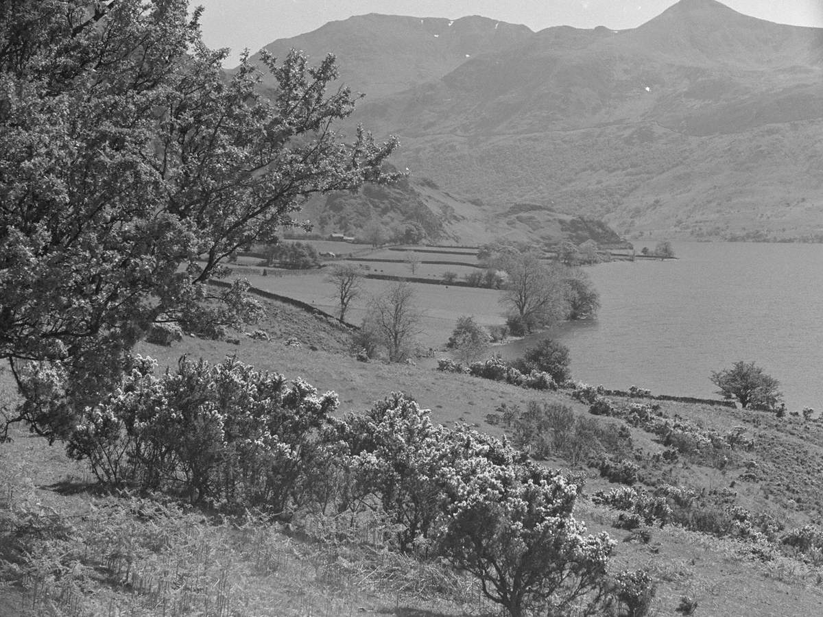 Edge of Crummock Water