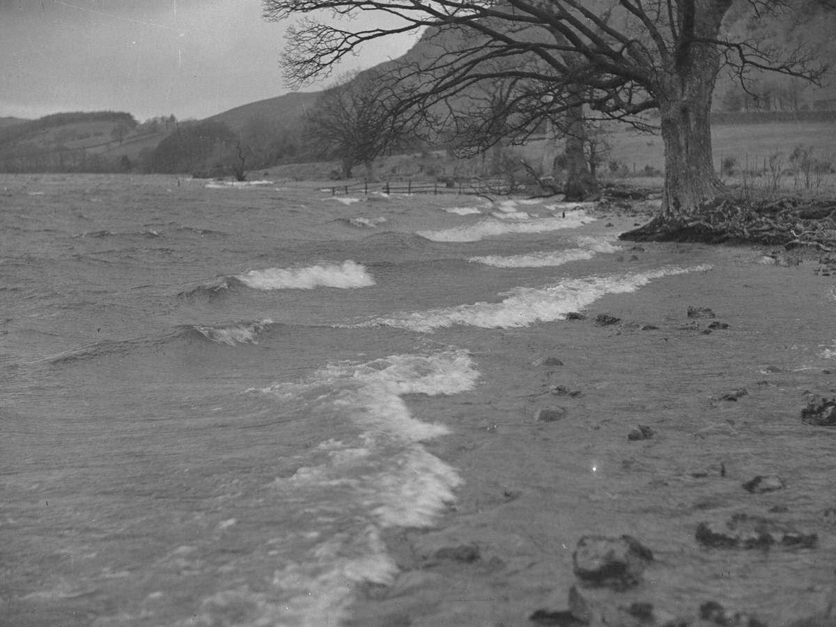 Lake Shore at Crummock Water