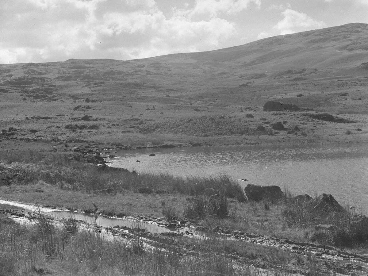 Edge of Devoke Water
