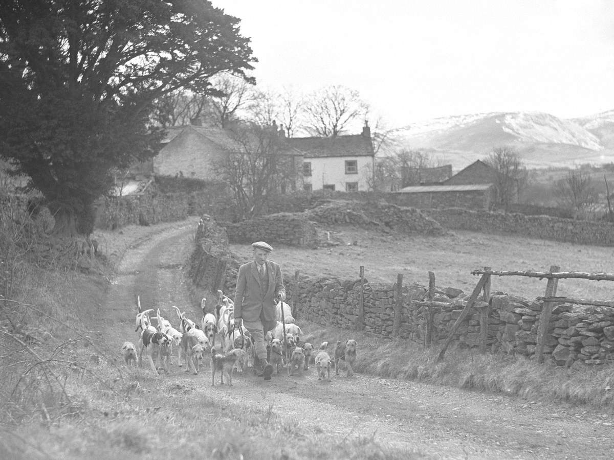 Hunt on Foot, Melbreak