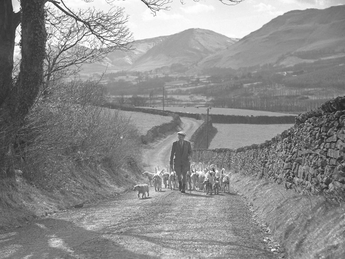 Hunt on Foot, Melbreak