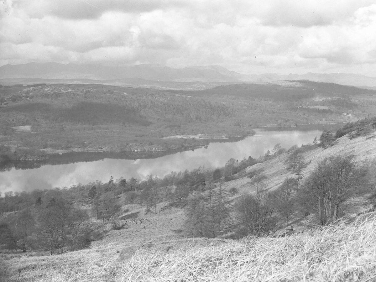 Lake View, Furness Fells