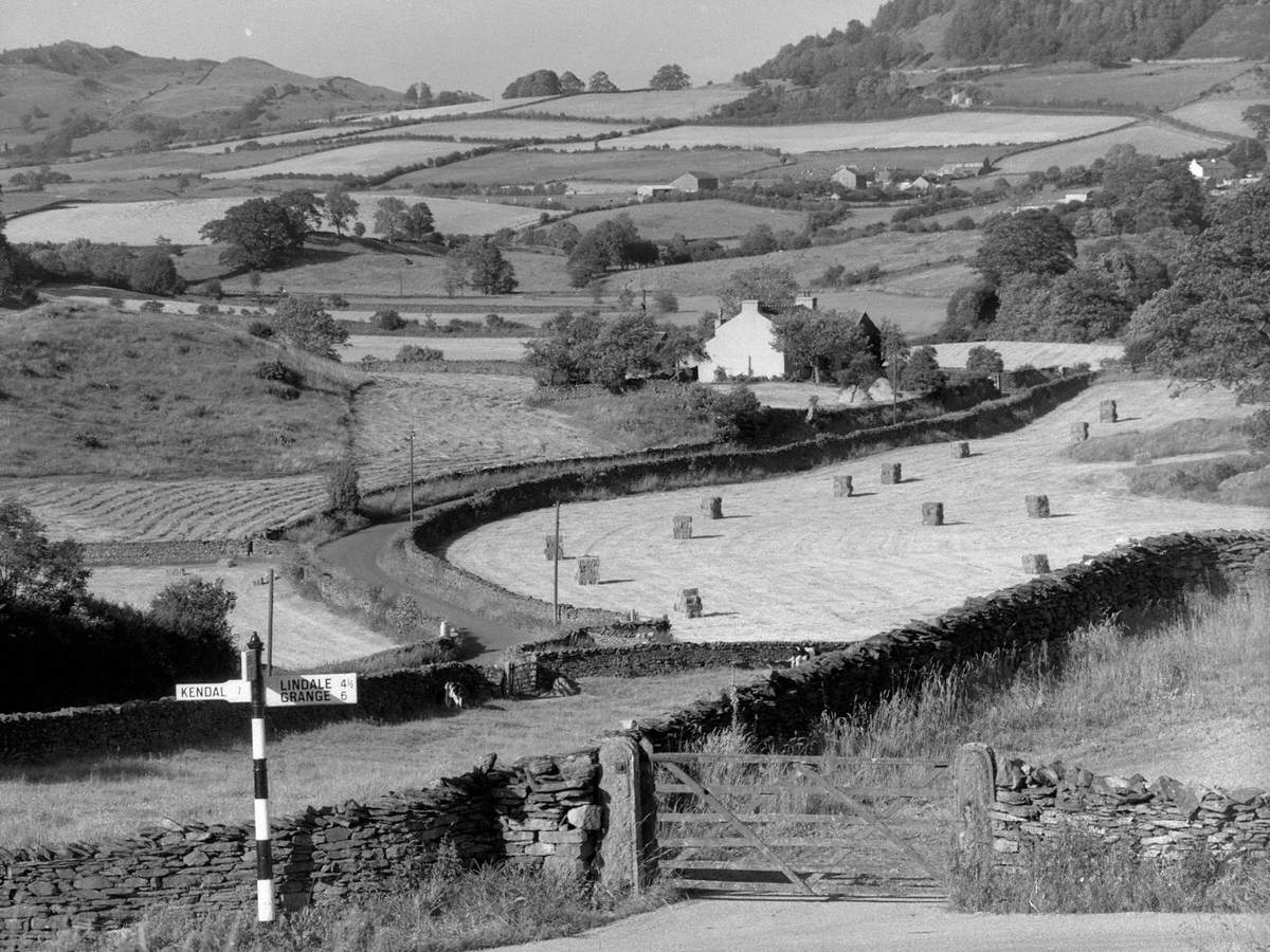 Summer Evening on Cartmel Fell