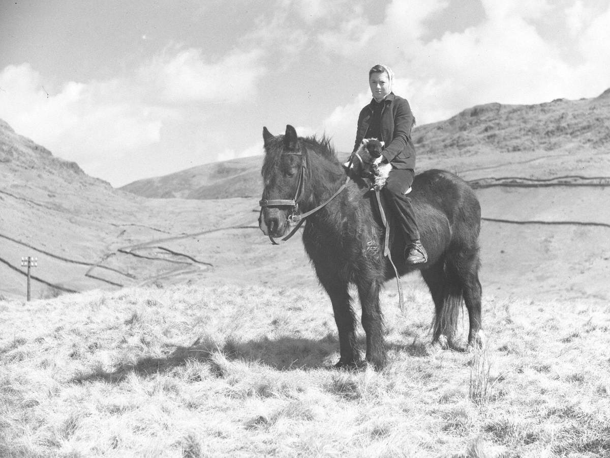 Women Riding Horse