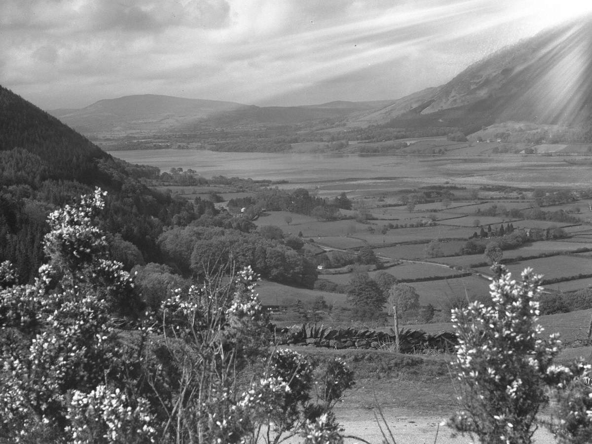 Bassenthwaite Landscape